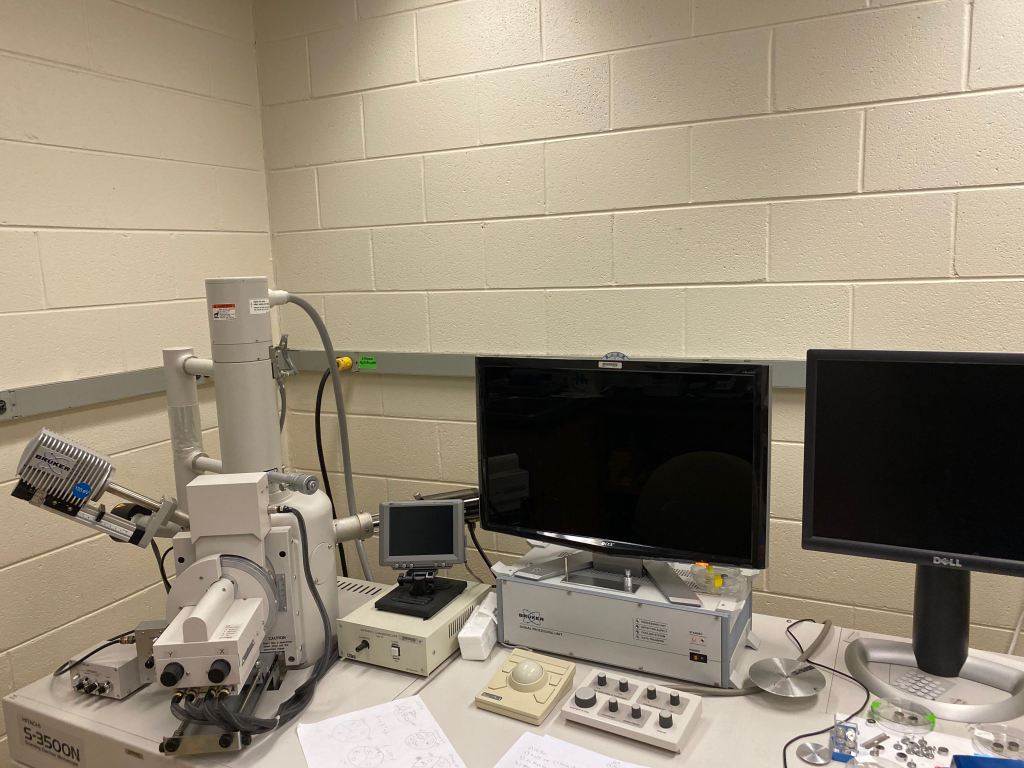 Scanning Electron Microscope