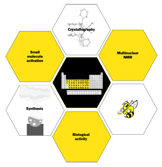 Image explaining the different areas of the Schreiner Group Research including inorganic synthesis, small molecule activation, and biological activity. Also includes some techniques for example x-ray crystallography and multinuclear NMR.